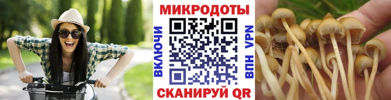 Галлюциногенные грибы мицелий  купить закладку  Назарово 