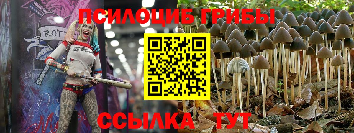 Галлюциногенные грибы мухоморы Назарово