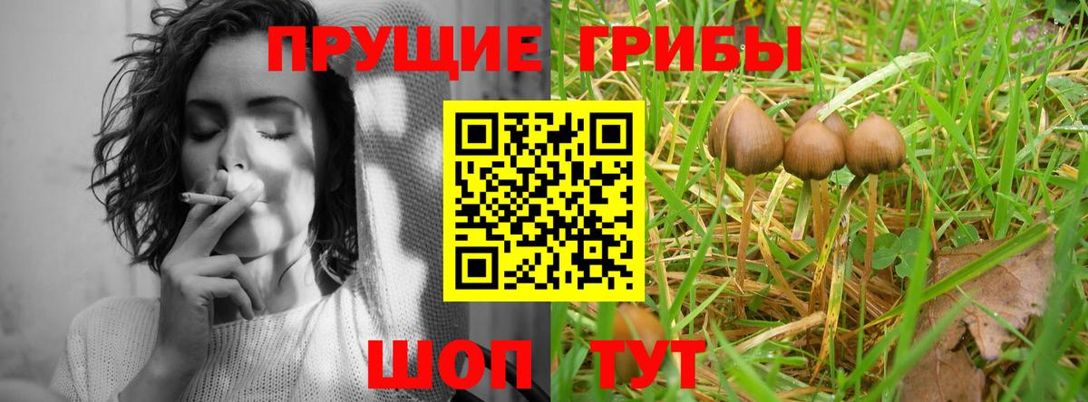 Галлюциногенные грибы прущие грибы Назарово