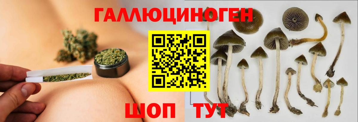 Галлюциногенные грибы мухоморы  Галлюциногенные грибы мухоморы  Назарово  Вход с VPN 